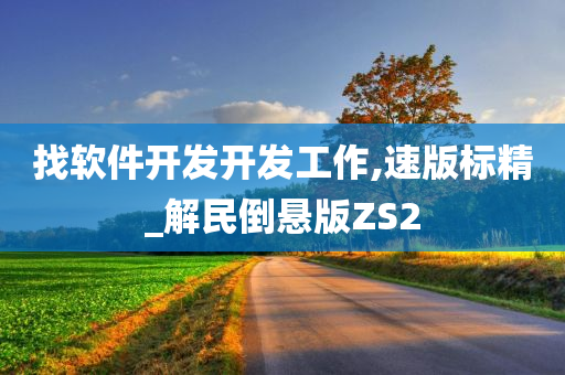 找软件开发开发工作,速版标精_解民倒悬版ZS2