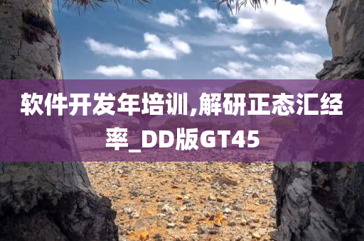 软件开发年培训,解研正态汇经率_DD版GT45