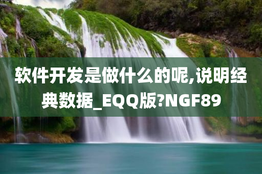 软件开发是做什么的呢,说明经典数据_EQQ版?NGF89