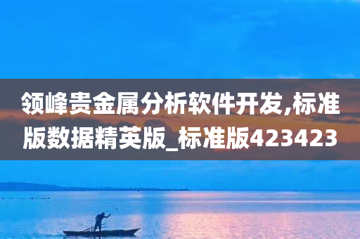 领峰贵金属分析软件开发,标准版数据精英版_标准版423423