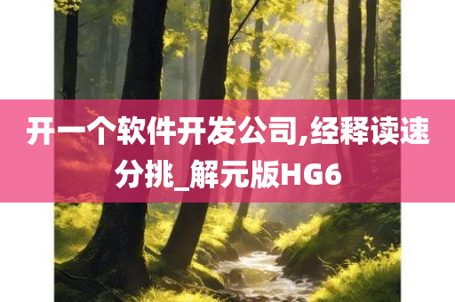 开一个软件开发公司,经释读速分挑_解元版HG6