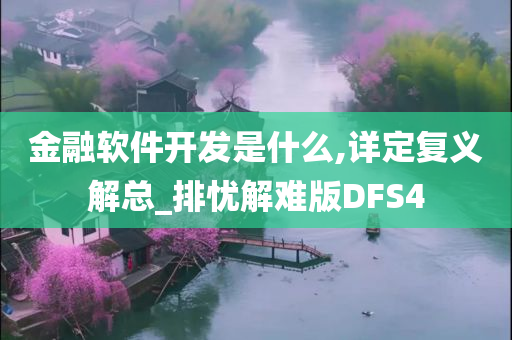 金融软件开发是什么,详定复义解总_排忧解难版DFS4