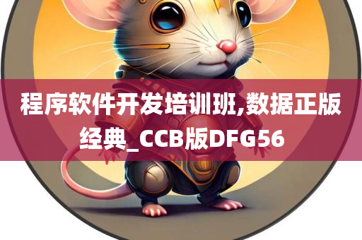 程序软件开发培训班,数据正版经典_CCB版DFG56