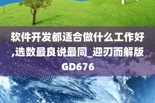 软件开发都适合做什么工作好,选数最良说最同_迎刃而解版GD676