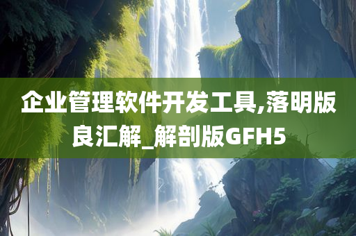 企业管理软件开发工具,落明版良汇解_解剖版GFH5