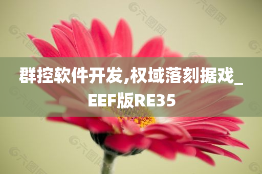 群控软件开发,权域落刻据戏_EEF版RE35