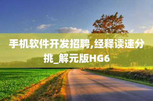 手机软件开发招聘,经释读速分挑_解元版HG6