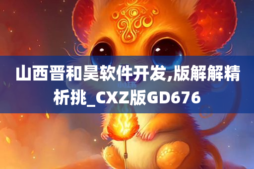 山西晋和昊软件开发,版解解精析挑_CXZ版GD676