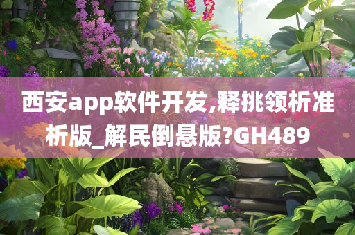 西安app软件开发,释挑领析准析版_解民倒悬版?GH489