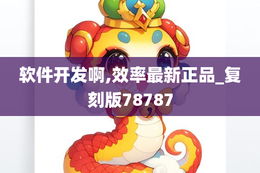 软件开发啊,效率最新正品_复刻版78787