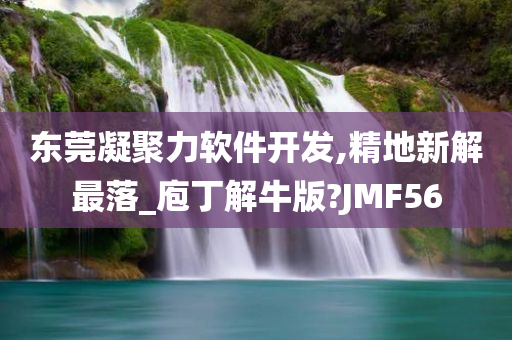 东莞凝聚力软件开发,精地新解最落_庖丁解牛版?JMF56