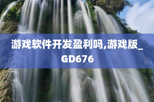 游戏软件开发盈利吗,游戏版_GD676