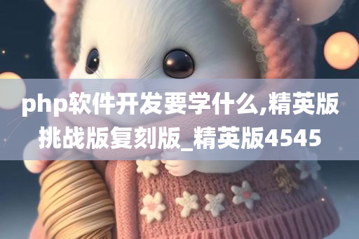 php软件开发要学什么,精英版挑战版复刻版_精英版4545