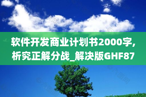 软件开发商业计划书2000字,析究正解分战_解决版GHF87