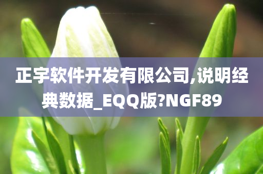 正宇软件开发有限公司,说明经典数据_EQQ版?NGF89