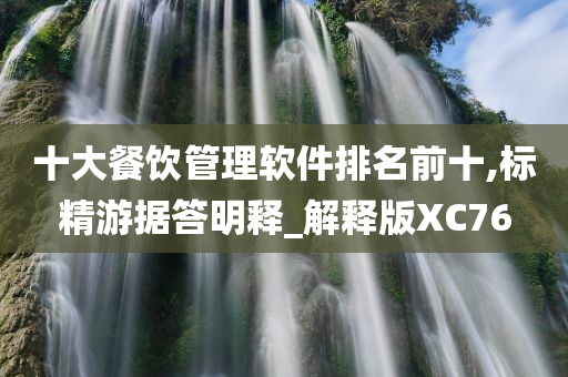 十大餐饮管理软件排名前十,标精游据答明释_解释版XC76