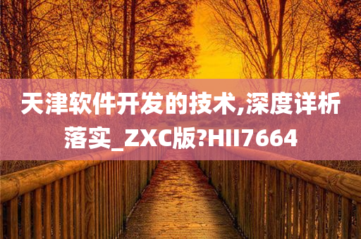 天津软件开发的技术,深度详析落实_ZXC版?HII7664