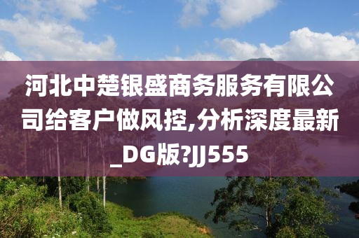 河北中楚银盛商务服务有限公司给客户做风控,分析深度最新_DG版?JJ555