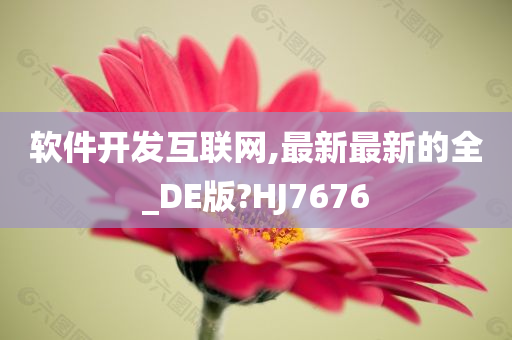 软件开发互联网,最新最新的全_DE版?HJ7676