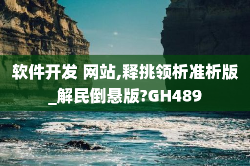 软件开发 网站,释挑领析准析版_解民倒悬版?GH489