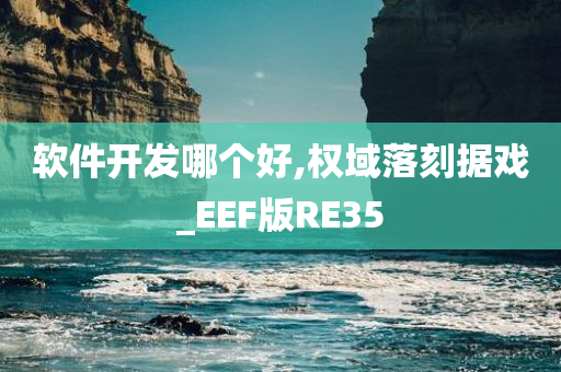 软件开发哪个好,权域落刻据戏_EEF版RE35