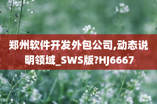 郑州软件开发外包公司,动态说明领域_SWS版?HJ6667