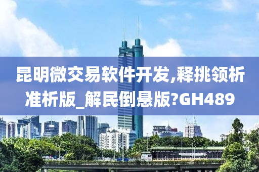 昆明微交易软件开发,释挑领析准析版_解民倒悬版?GH489