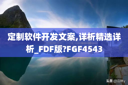 定制软件开发文案,详析精选详析_FDF版?FGF4543