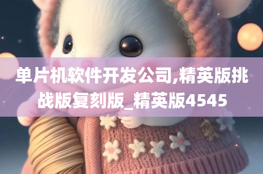 单片机软件开发公司,精英版挑战版复刻版_精英版4545