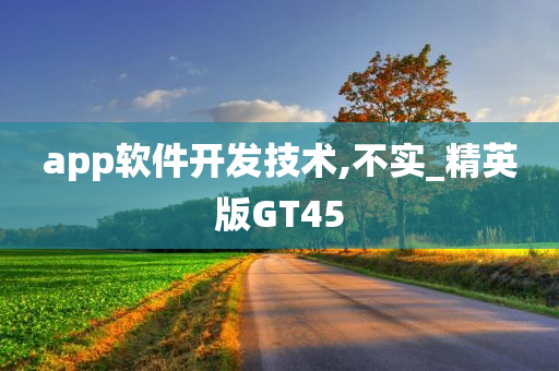 app软件开发技术,不实_精英版GT45