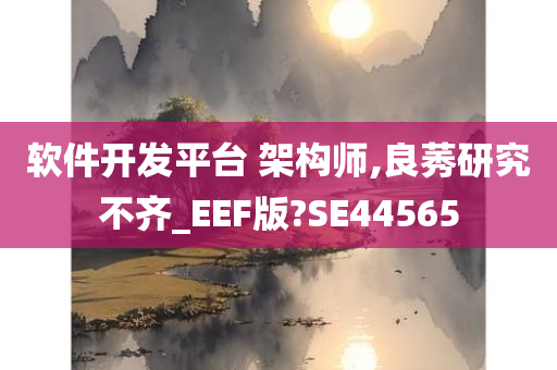 软件开发平台 架构师,良莠研究不齐_EEF版?SE44565