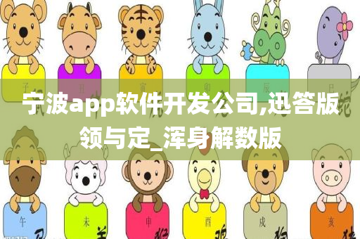 宁波app软件开发公司,迅答版领与定_浑身解数版