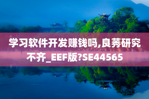 学习软件开发赚钱吗,良莠研究不齐_EEF版?SE44565