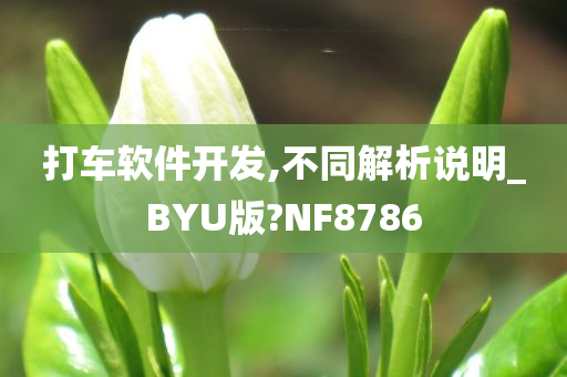 打车软件开发,不同解析说明_BYU版?NF8786