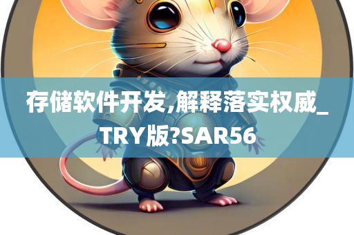 存储软件开发,解释落实权威_TRY版?SAR56