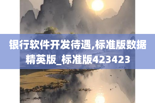 银行软件开发待遇,标准版数据精英版_标准版423423