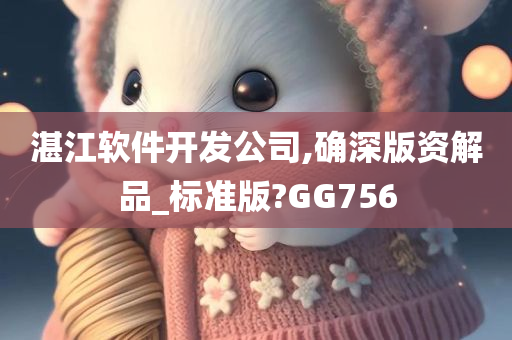 湛江软件开发公司,确深版资解品_标准版?GG756