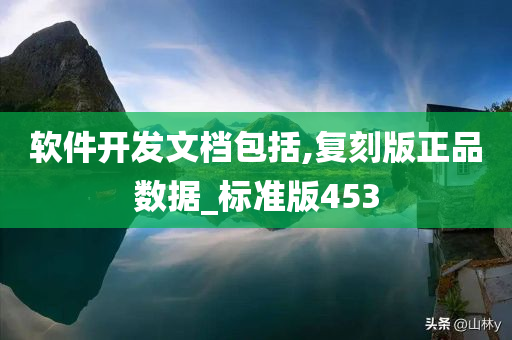 软件开发文档包括,复刻版正品数据_标准版453