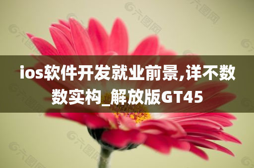 ios软件开发就业前景,详不数数实构_解放版GT45