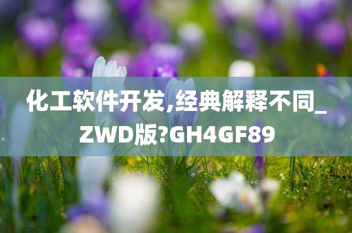 化工软件开发,经典解释不同_ZWD版?GH4GF89