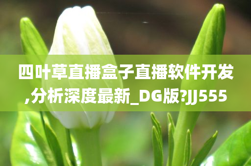 四叶草直播盒子直播软件开发,分析深度最新_DG版?JJ555