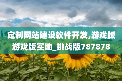 定制网站建设软件开发,游戏版游戏版实地_挑战版787878