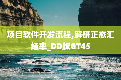 项目软件开发流程,解研正态汇经率_DD版GT45