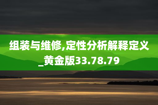 组装与维修,定性分析解释定义_黄金版33.78.79