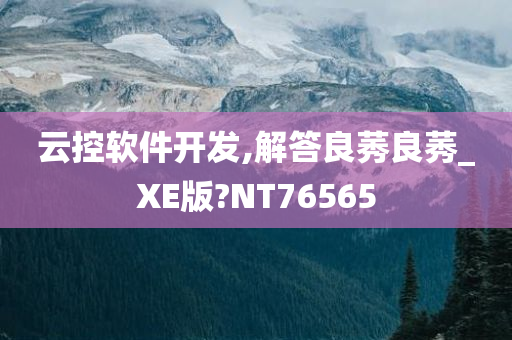 云控软件开发,解答良莠良莠_XE版?NT76565