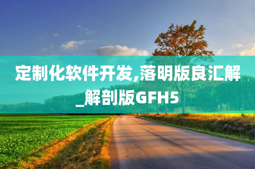 定制化软件开发,落明版良汇解_解剖版GFH5