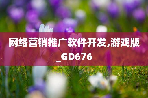 网络营销推广软件开发,游戏版_GD676