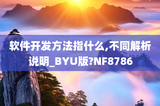 软件开发方法指什么,不同解析说明_BYU版?NF8786