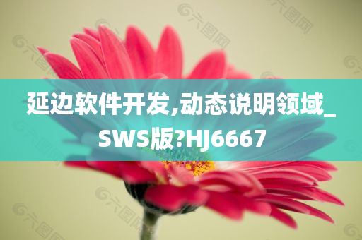 延边软件开发,动态说明领域_SWS版?HJ6667