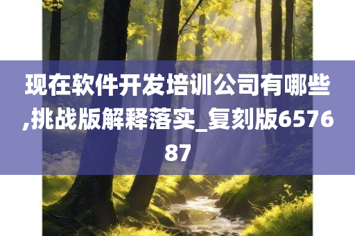 现在软件开发培训公司有哪些,挑战版解释落实_复刻版657687